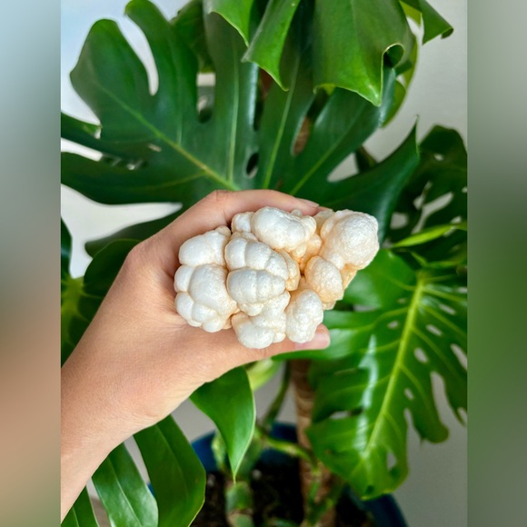 Aragonite From Morocco - Picture 2 of 4